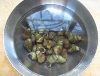 螺蛳猪脚煲的做法