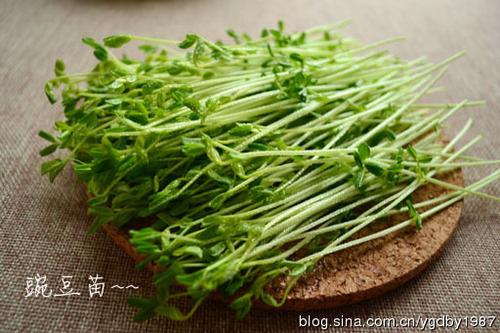 �����㶹�������