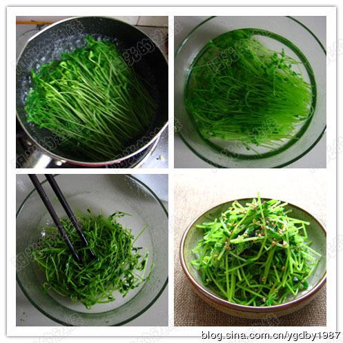 �����㶹�������