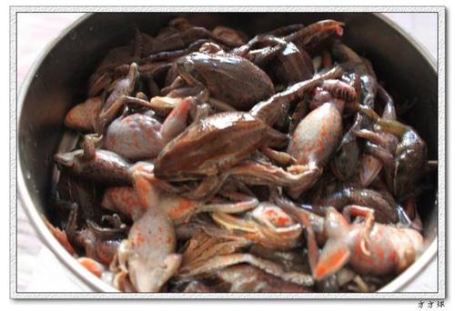 ���˸�������