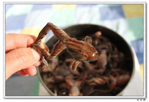 ���˸�������