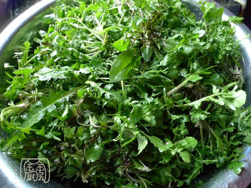 ���˶�����˿������