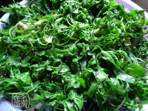 ���˶�����˿������