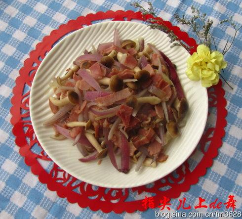 ������Ģ��������