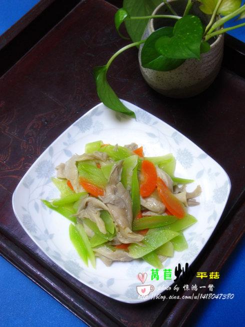 ݫ�ĳ�ƽ������������