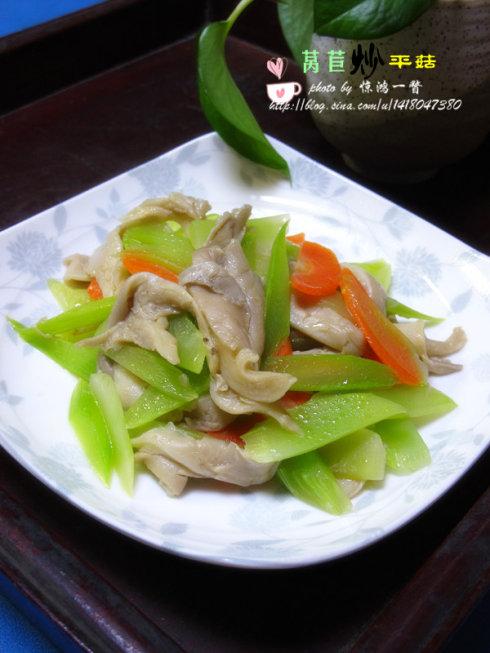 ݫ�ĳ�ƽ������������