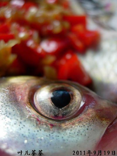 �罷�����������