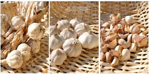 ���Ʊ�����಻���������������