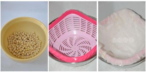 ��ͥ�Է��ƶ�ѿ�����Իƶ�ѿ������