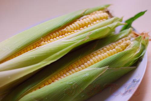 玉米猪肚汤的做法