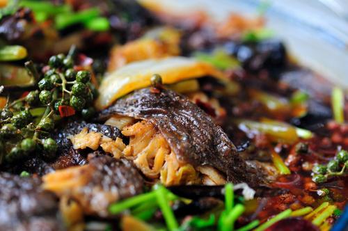 �������������