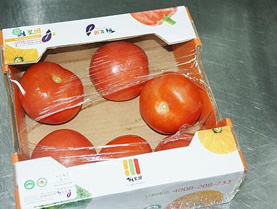 ֥ʿ��������ɳ��������