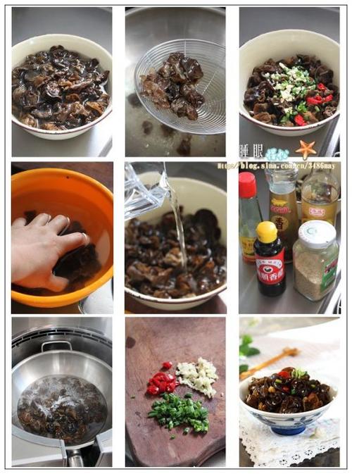 ����ľ��������