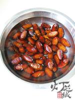 盐水煮蚕蛹的做法