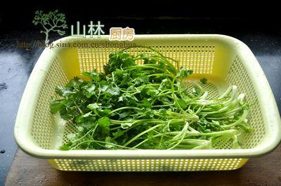 ������˵�����