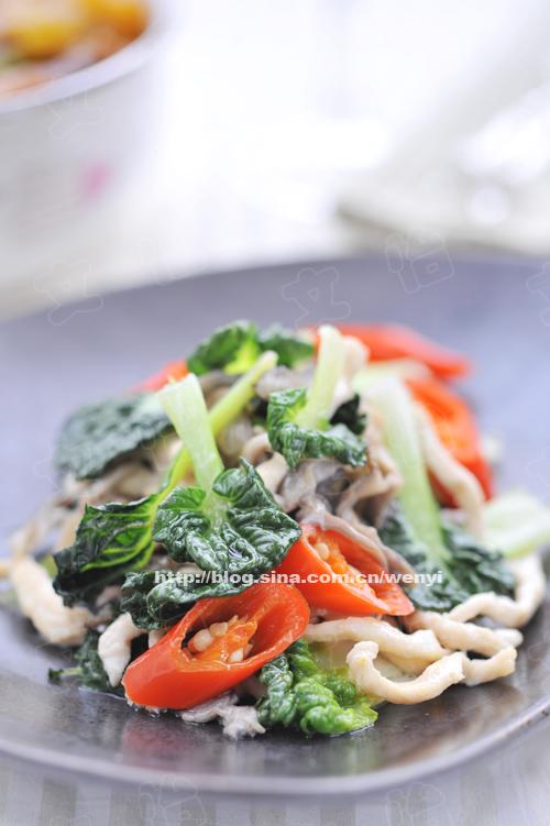 ��˿Ģ�������˵�����