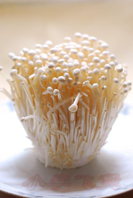 ��ţ�𹽾�������