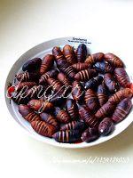 ���Բ�Ӽ������