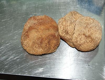 �������ܵ�Һ�ͷ��������