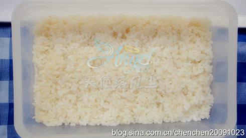 ��ֻС��¶Ӫ�㵱������