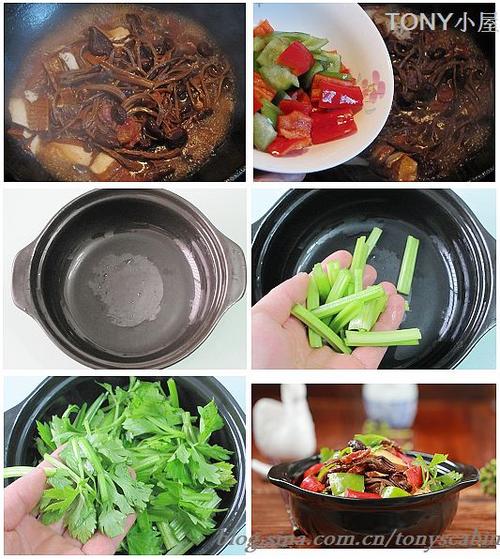 �ɹ��������������������