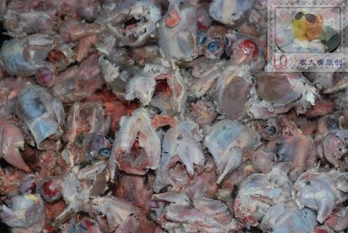 ���ܰ����ڵ�����