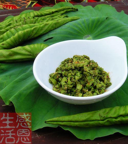 �����Ҷ������