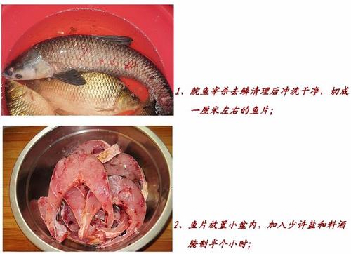 ��ըѬ�������