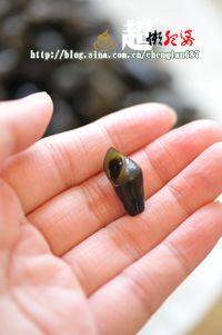 ���ձ���ɽ���ݵ�����