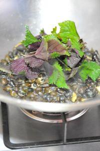 ���ձ���ɽ���ݵ�����