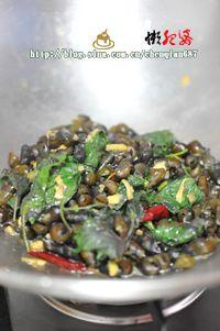 ���ձ���ɽ���ݵ�����