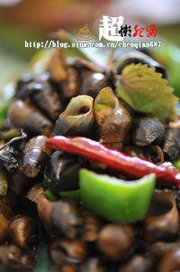 ���ձ���ɽ���ݵ�����