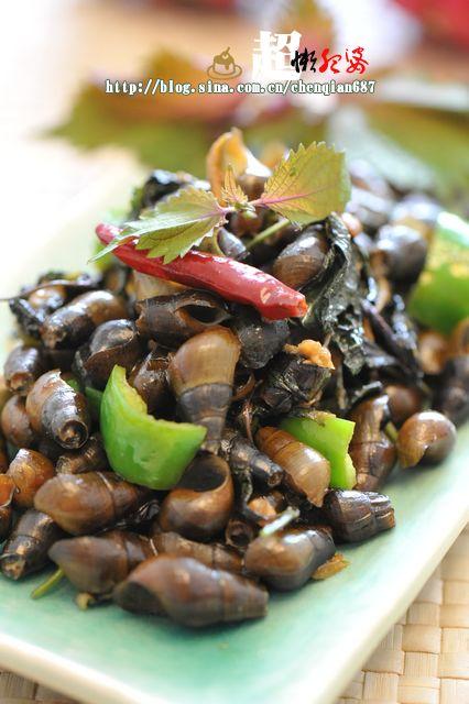 ���ձ���ɽ���ݵ�����