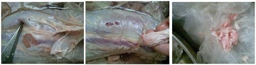 ������±֭������