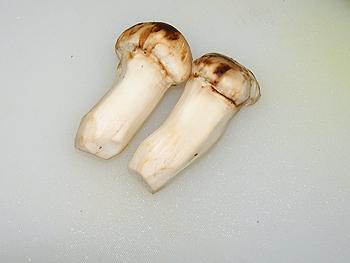 ���׶�����Ҷ�յ�����