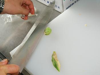 ���׶�����Ҷ�յ�����