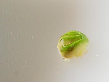 ���׶�����Ҷ�յ�����