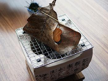 ���׶�����Ҷ�յ�����