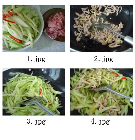 ������˿������