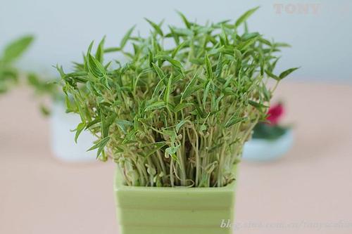 �ֶ���Զ��������