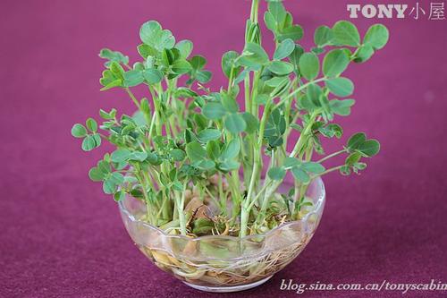 �ֶ���Զ��������