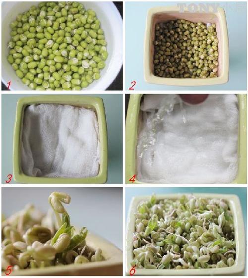 �ֶ���Զ��������