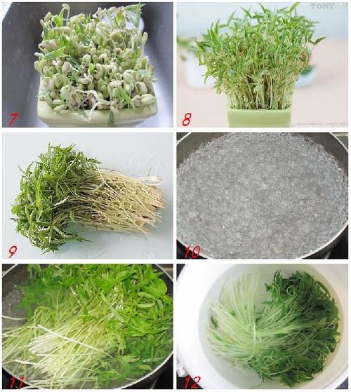 �ֶ���Զ��������