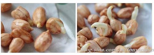 �ֶ���Զ��������