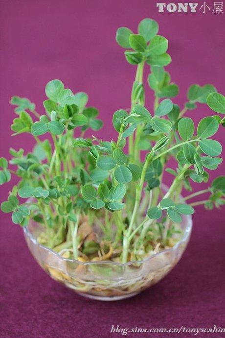 �ֶ���Զ��������