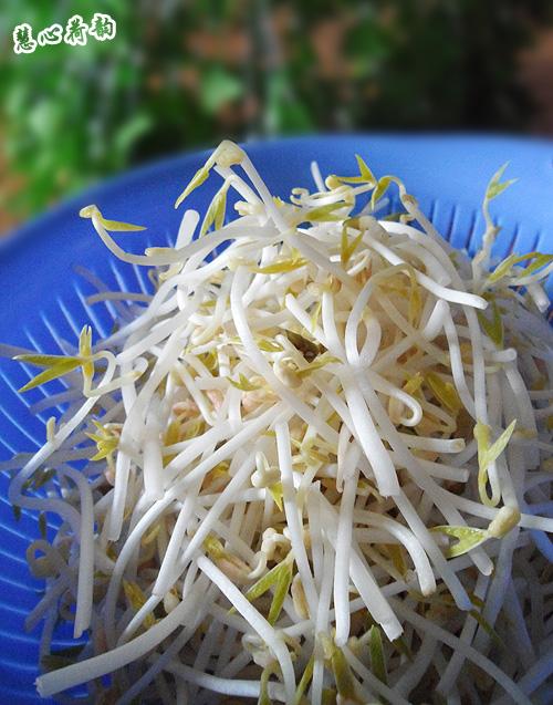 ��ͥ�Է��̶�ѿ��������