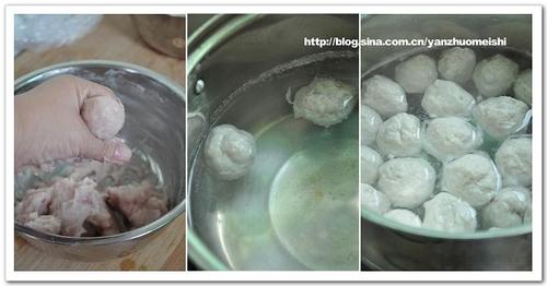 ����Ģ��������������