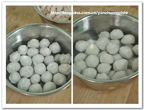 ����Ģ��������������