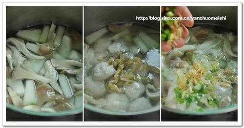 ����Ģ��������������