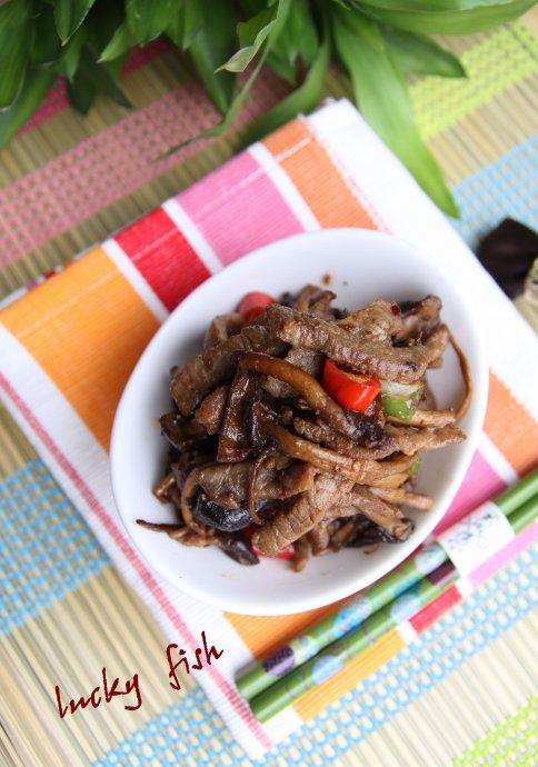 ɳ��ţ��������������